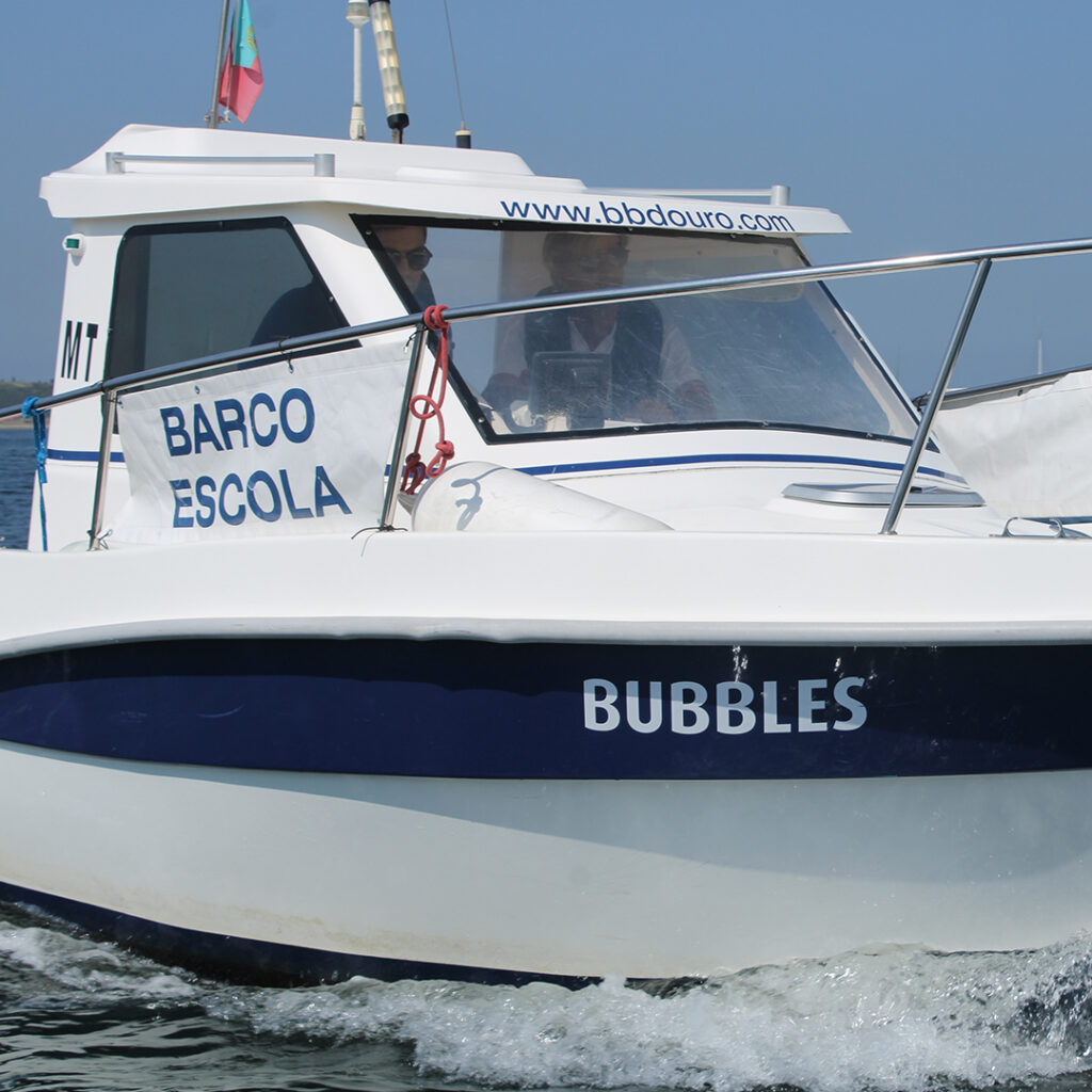 PBT - Experiência Prática