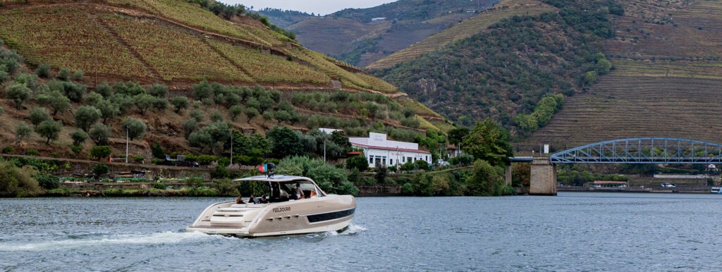 FeelDouro